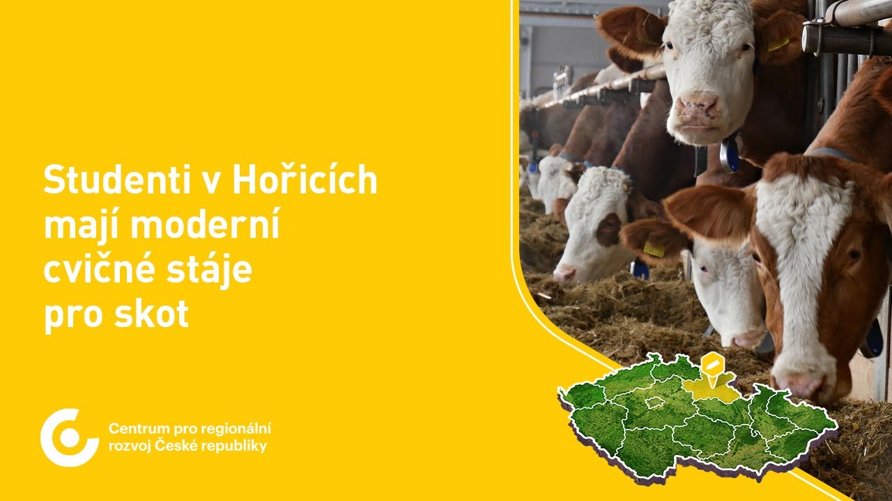 Modernizace cvičné stáje pro skot GYM, SOŠ, SOU a VOŠ Hořice