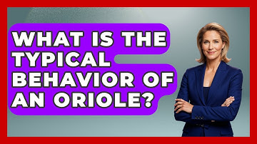 What Is The Typical Behavior Of An Oriole? - Exploring Campgrounds