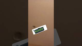 Still Young At Heart