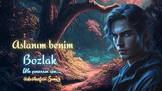Aslanım Benim - Bozlak Dost Nefesi 2026