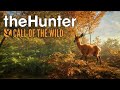 Noob Hunter (aka Walking) Simulator | TheHunter: Call of the Wild