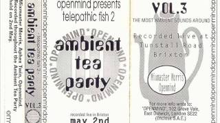 Mixmaster Morris ambient mix @ Telepathic Fish, Ambient Tea Party 1993 by Whirlytunes 19,288 views 11 years ago 1 hour, 33 minutes