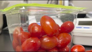 How Greenhouse Tomatoes Are Grown for Taste & Quality | Ranger Nick
Inside a teaching greenhouse in Athens, Georgia, Ranger Nick goes hands-on with tomato plants to explore what it really takes to grow a sweet, high-quality tomato.
Joined by Dr. Rhuanito Ferrarezi with the University of Georgia, this segment dives into controlled environment agriculture—breaking down how water, nutrients, light, CO₂, and even good stress influence tomato yield and flavor.
From the greenhouse to the lab, viewers learn how researchers measure water-use efficiency, photosynthesis, leaf area, and biomass production. The segment wraps up with a fascinating look at how sweetness is measured objectively using a refractometer—revealing why ripe cherry tomatoes taste so much better than green ones.
It’s a behind-the-scenes look at food production, student research, and the science that helps deliver better-tasting tomatoes to your salad bowl.
All on this month’s Ranger Nick feature from the Farm Monitor. How Greenhouse Tomatoes Are Grown for Taste & Quality | Ranger Nick