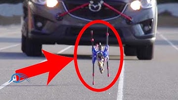 5 Fastest Robots in The World