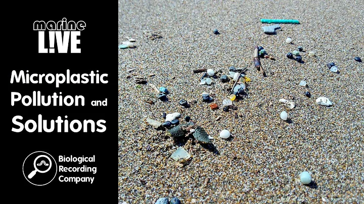 Microplastic Pollution and Solutions