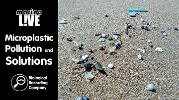 Microplastic Pollution and Solutions