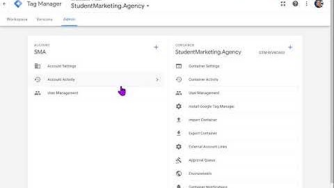 Granting access to GTM Google Tag Manager