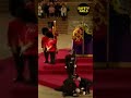 Dude, I Passed Out On The Queen... #Shorts | Bad Day | Total Idiots | Funny Safety Fails | VL #167