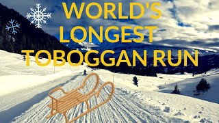 The World's Longest Toboggan Run | Grindelwald - Switzerland
