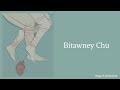 Bitawney chu  the dreamcatchers