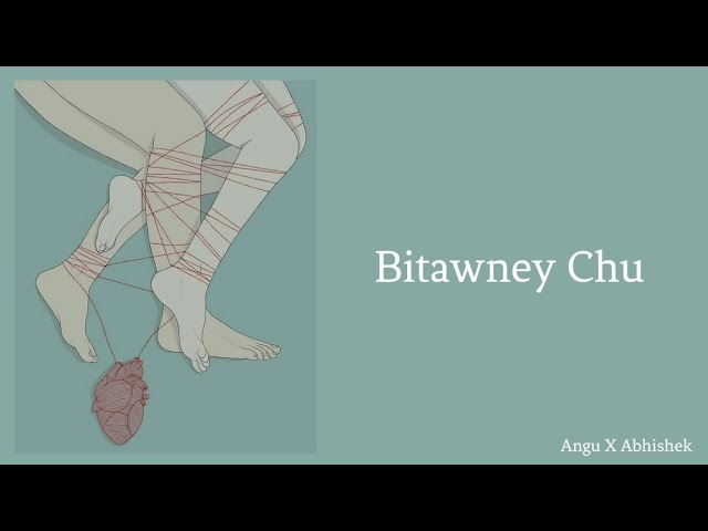 Bitawney Chu - The Dreamcatchers class=