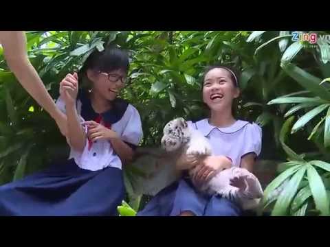 Du khách vui đùa với hổ con tại Thảo Cầm Viên Sài Gòn – Xã Hội