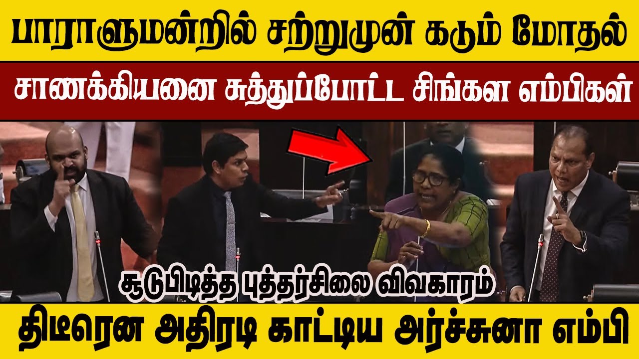 கடுப்பான அர்ச்சுனா- பாராளுமன்றில் கடும் சண்டை- அதிரடி காட்டிய சாணக்கியன் எம்பி  #tamilnews