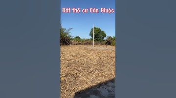 Đất thổ cư Cần Giuộc. Diện tích 747m2 thổ cư, dường xe hơi 4 chỗ, gần quốc lộ 50, giá rẻ, SHR