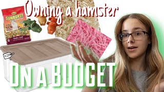 Owning a hamster on a budget!! Cheap hamster items!