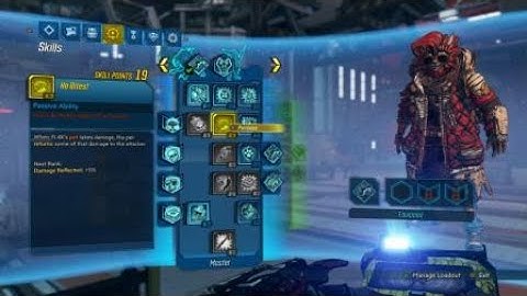 Borderlands® 3 Fl4k damage reduction bug