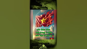 NẾU ĐƯỢC CHỌN MỘT TRONG HAI ĐIỀU ƯỚC BẠN SẼ ƯỚC GÌ… #bảocóc #bảocócvlog #baococvlogboss #shorts #xh