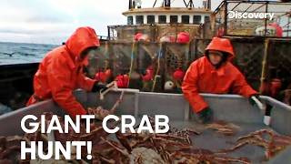 Chasing Alaskan Crabs in Deadly Seas! | Deadliest Catch S3 E7 | Discovery Channel