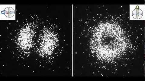 Real-Time Imaging of Quantum Entanglement [1]