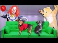 Pranking our Dogs with Halloween Costumes! (Creepy Clown Doll and Giant Bear) | PawZam Dogs