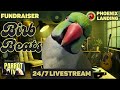 Birb Beats | Calming Lofi Beats w/Cozy Chill Nature Sounds for Birds | Parrot Town Bird Room TV🌿🎵🦜