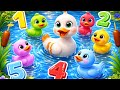 Five little ducks went out one day | Counting ducks for Toddler learning | english rhymes for babies