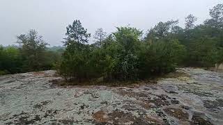 Panola Mountain State Park eight.