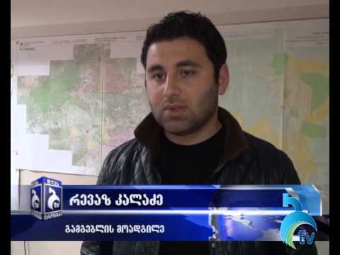 დევიძეების ოჯახი ყვიბისში ღელის გაწმენდას ითხოვს