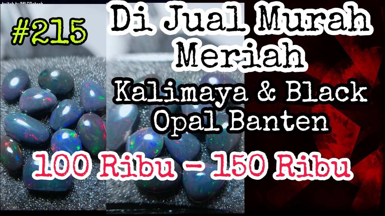 🔴 EPS 215 Di Obral Kalimaya Banten Harga Mulai 100 Ribu - 150 Ribu - YouTube