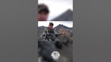 One Good Goat | Greg McHale