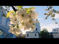 Весна у Свято-Михайлівському Золотоверхому монастирі