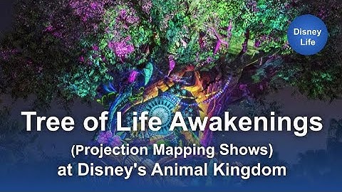Tree of Life Awakenings Projection Mapping Shows at Disney