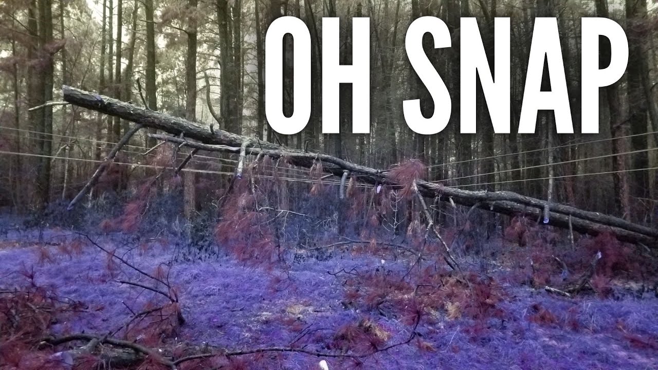 Dash Cam Electrical Explosion | Freezing Rain Sucks | What a Shock!