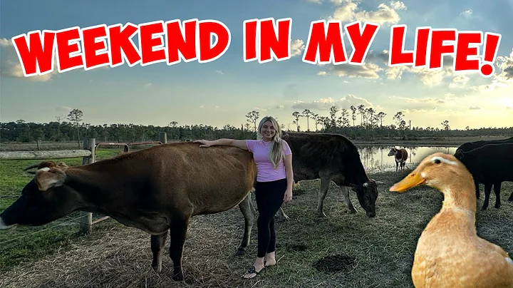 WEEK IN MY LIFE! | Visiting Cows, Rescuing Injured Duck & My Horse Needs a Procedure!