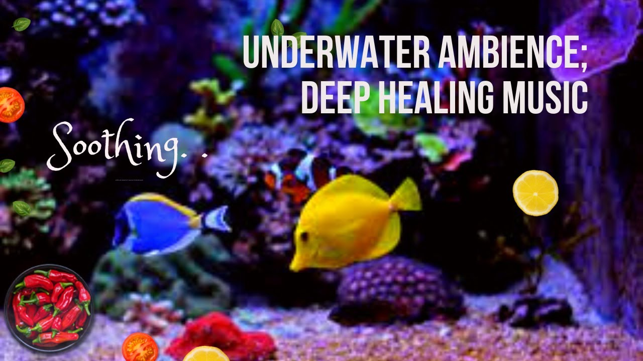 Underwater Ambience Deep Healing Music Soothing & Peaceful - YouTube