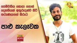 පෙම්වතිය සොයා ගොස් දෙසතියක් අතුරුදන්ව සිටි තරුණයාගේ සිරුර පාළු කැලෑවක  Hiru News