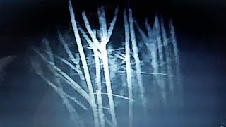 Little Night Peeker Bigfoot; Part 2; #projectgoandsee