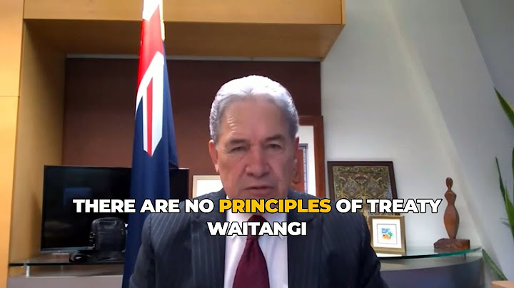 Winston Peters: There are no principles of the Treaty of Waitangi – it’s a three clause document.