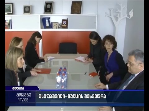 მარტინ შულცი: ვიზალიბერალიზაციის მიმართულებით საქართველოსთვის არ არსებობს დამატებითი წინაპირობები