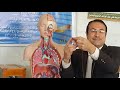شرح أجهزة جسم الانسان للصف الثاني الثانوي 