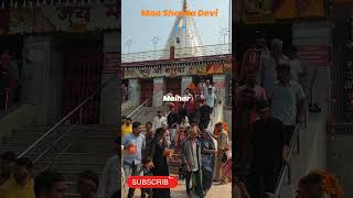 Maa Sharda Mandir Oct 23shortsmaamaihar