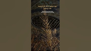 #عمر_الدريويز #تلاوات #القرآن_الكريم #quran #تلاوة_خاشعة #قرآن #تلاوة #القرآن #ايات_قرانيه_قصيره
