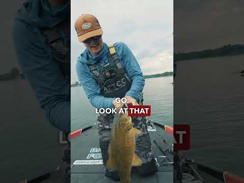 My Favorite Jig