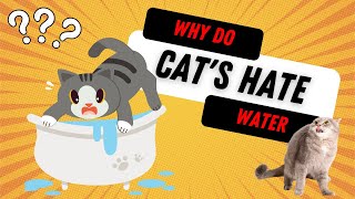 🤯SHOCKING Truth Revealed: Why Do Cats Hate Water?💦|Cat Video | Cat Weird Facts| Cat Videos | Cat by All For Love 364 views 8 months ago 2 minutes, 43 seconds
