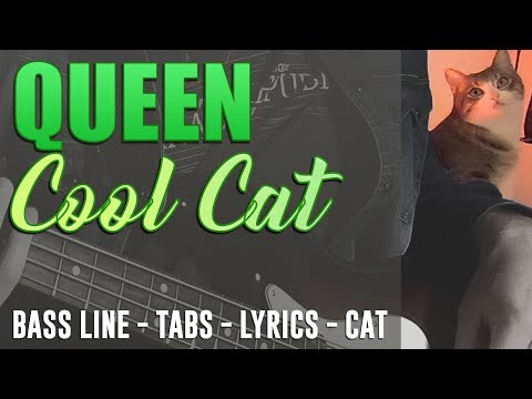 queen---cool-cat-///-bass-line-[play-along-tabs---lyrics---🐱]