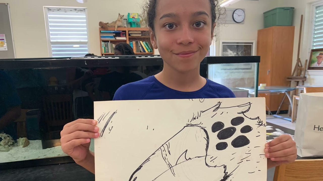 Birding at the Biscayne Nature Center Summer by the Sea Camp.