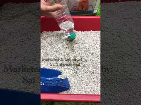 Pet Pattern Cat Litter Sand
