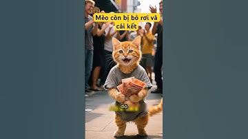 Mèo con bị bỏ rơi và cái kết không ngờ tới #cat #viral #viralvideo #funny