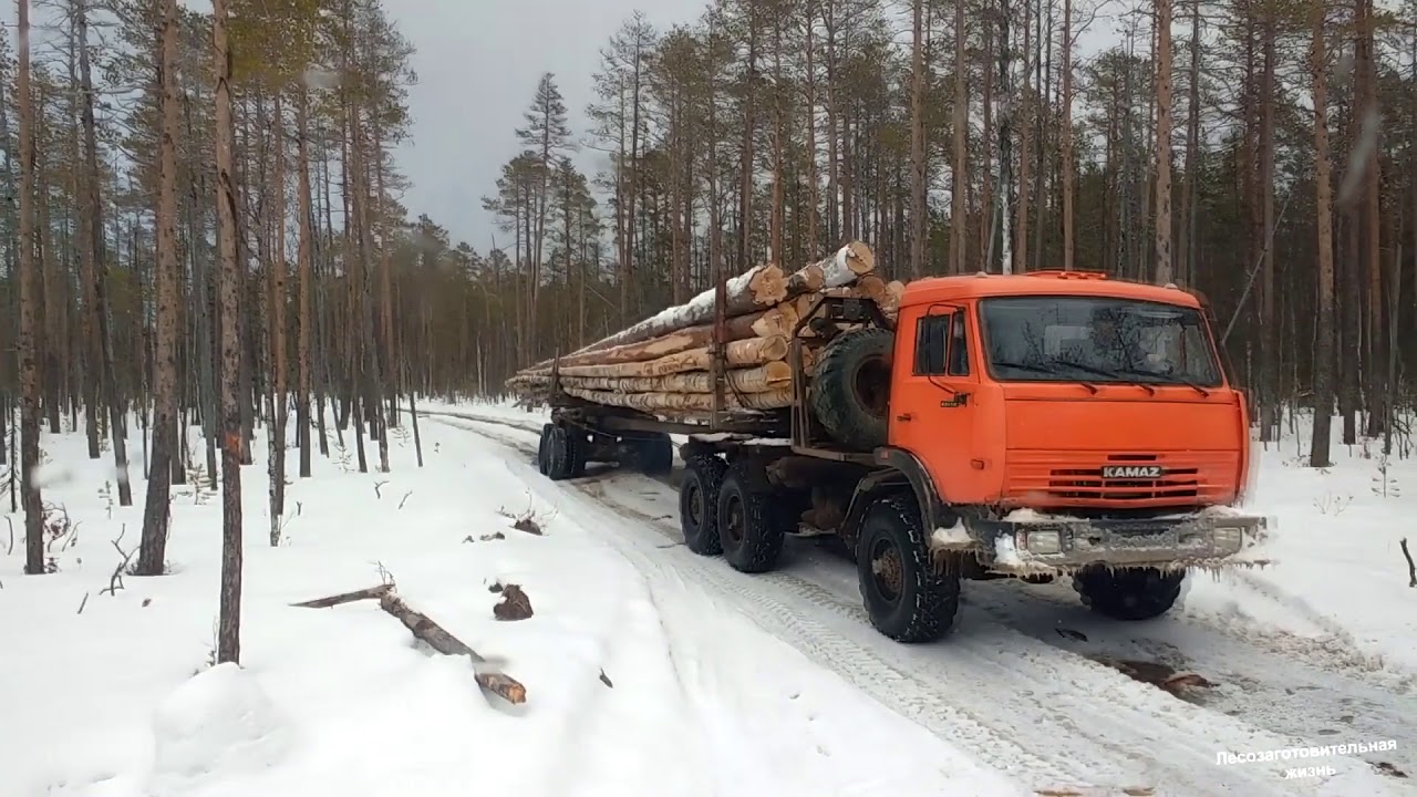 Лесовозы песня макс