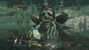 SL1 NG+7 CoC No rolling/sprinting/blocking/parrying Demon of Song
